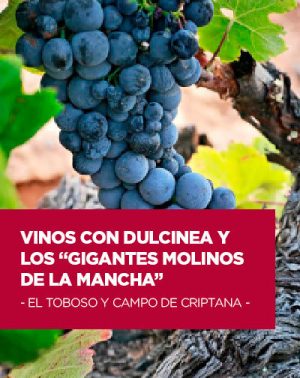 Vinos con Dulcinea en Toboso, El | Entradas