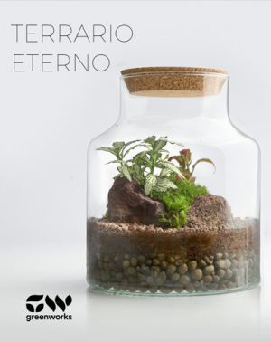Crea tu propio Terrario Eterno en Madrid | Entradas