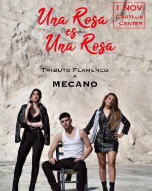 mecano