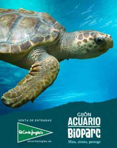 bioparc-acuario-gijon-1