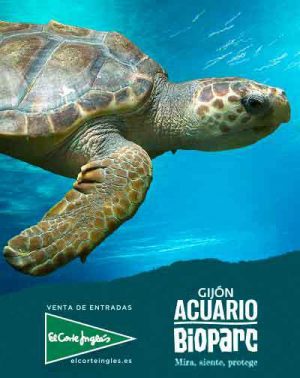 bioparc-acuario-gijon-1