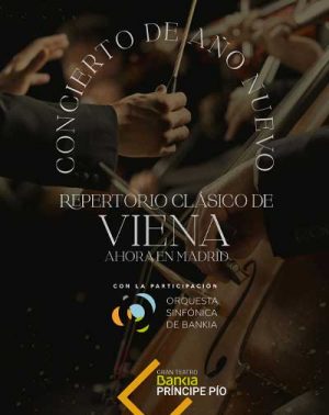 Concierto de Año Nuevo – Repertorio Clásico De Viena en Madrid | Entradas