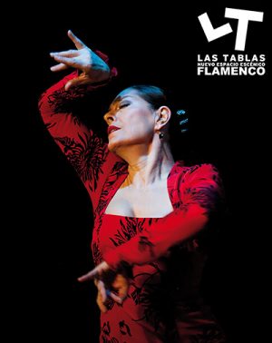 Espectáculo Flamenco Las Tablas en Madrid | Entradas