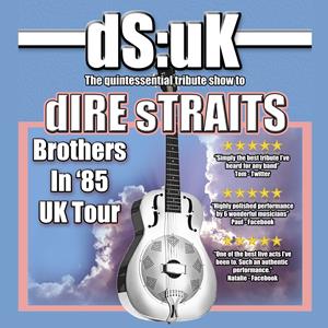 DS:UK.in Tribute to Dire Straits | ON anoTHEr NIGHT Tour