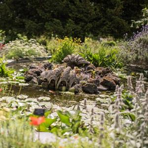 Chelsea Physic Garden - Flexitickets