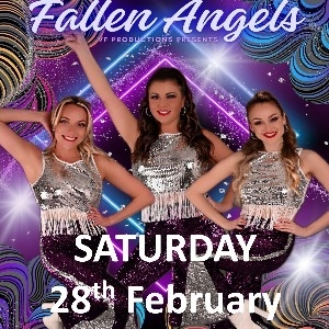 Fallen Angels 70s Show