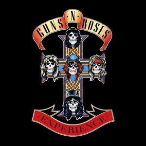 Guns N' Roses Experience