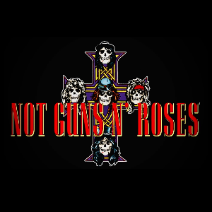 Not GunsnRoses @ The Snig