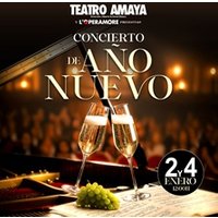 Concierto de año nuevo - Madrid