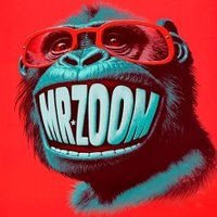 Mr Zoom - Inverfest 2026