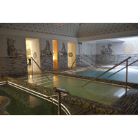 Tritón | Circuito + Flotarium