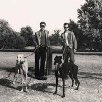 Taburete - Festival de La Lavanda