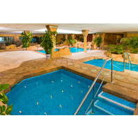 Circuito SPA - adulto