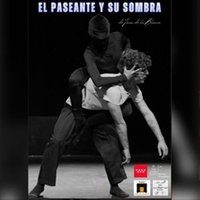 El paseante y su sombra