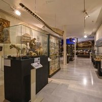 Museo Aguilar y Eslava