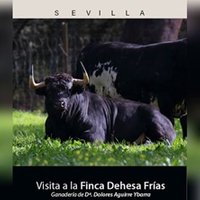 Visita a La Ganadería de Dña. Dolores Aguirre Ybarra