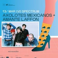 Axolotes Mexicanos + Amante Laffón