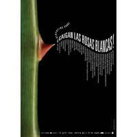 ¡Caigan las rosas blancas!