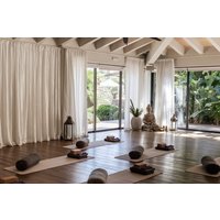 Retiro Detox