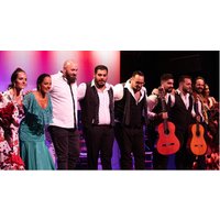 Espectáculo de Flamenco Barcelona City Hall