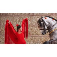 Pasión y Duende Andaluz